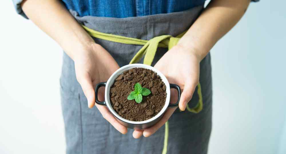 réutiliser le marc de café